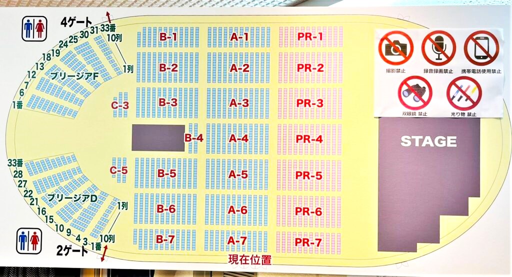 S席 づか 1枚 2024.6.29（土）大阪城ホール